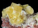Lustrous, Yellow Cubic Fluorite Crystals - Morocco #44893-1